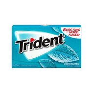 Trident - Wintergreen - 1 x 14 Stck