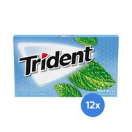 Trident - Mint Bliss - 12 x 14 Stck